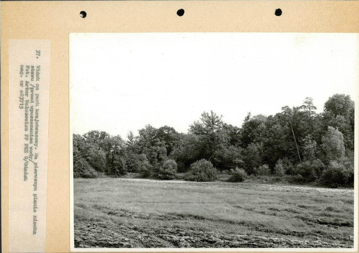Ewidencja parkowa, skan nr 60