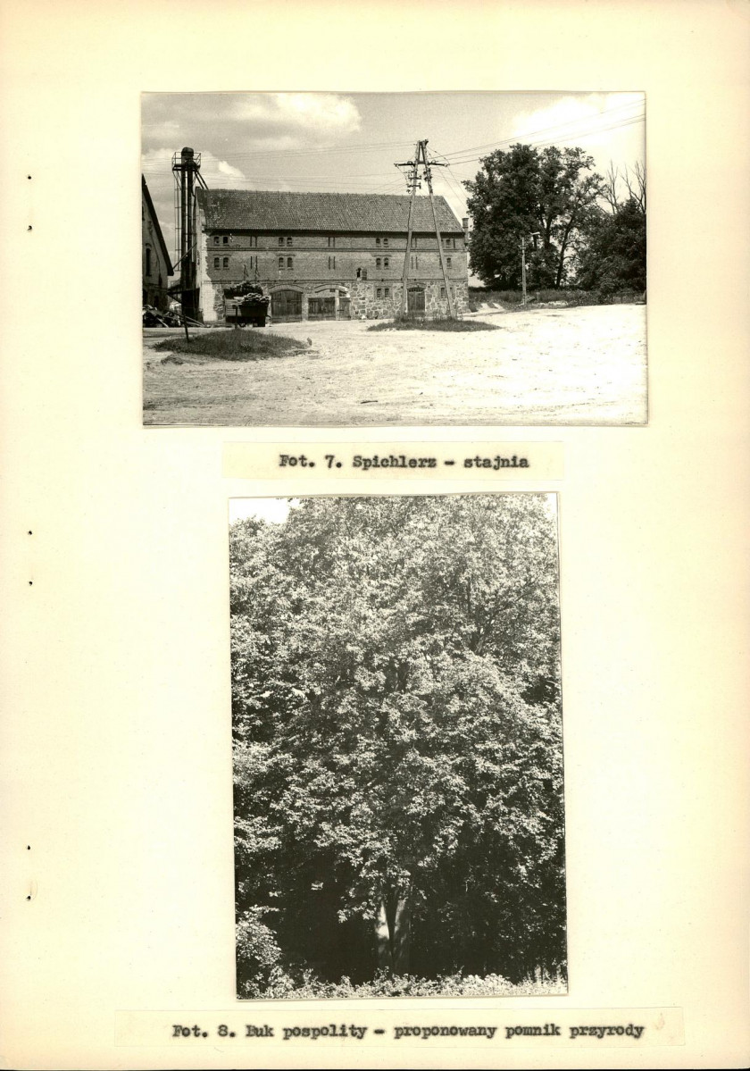Ewidencja parkowa, skan nr 30