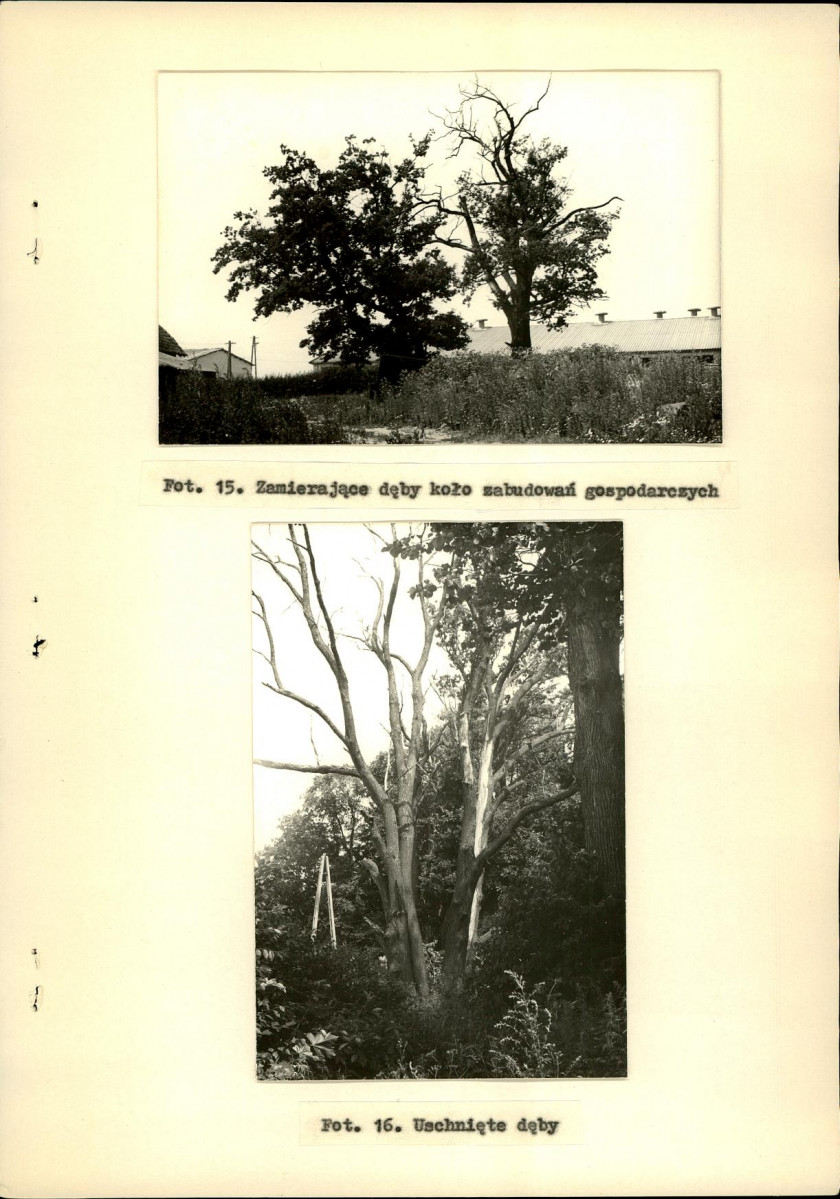 Ewidencja parkowa, skan nr 34