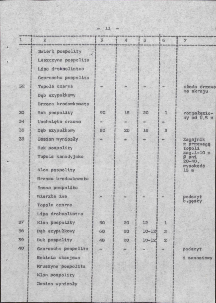 Ewidencja parkowa, skan nr 19