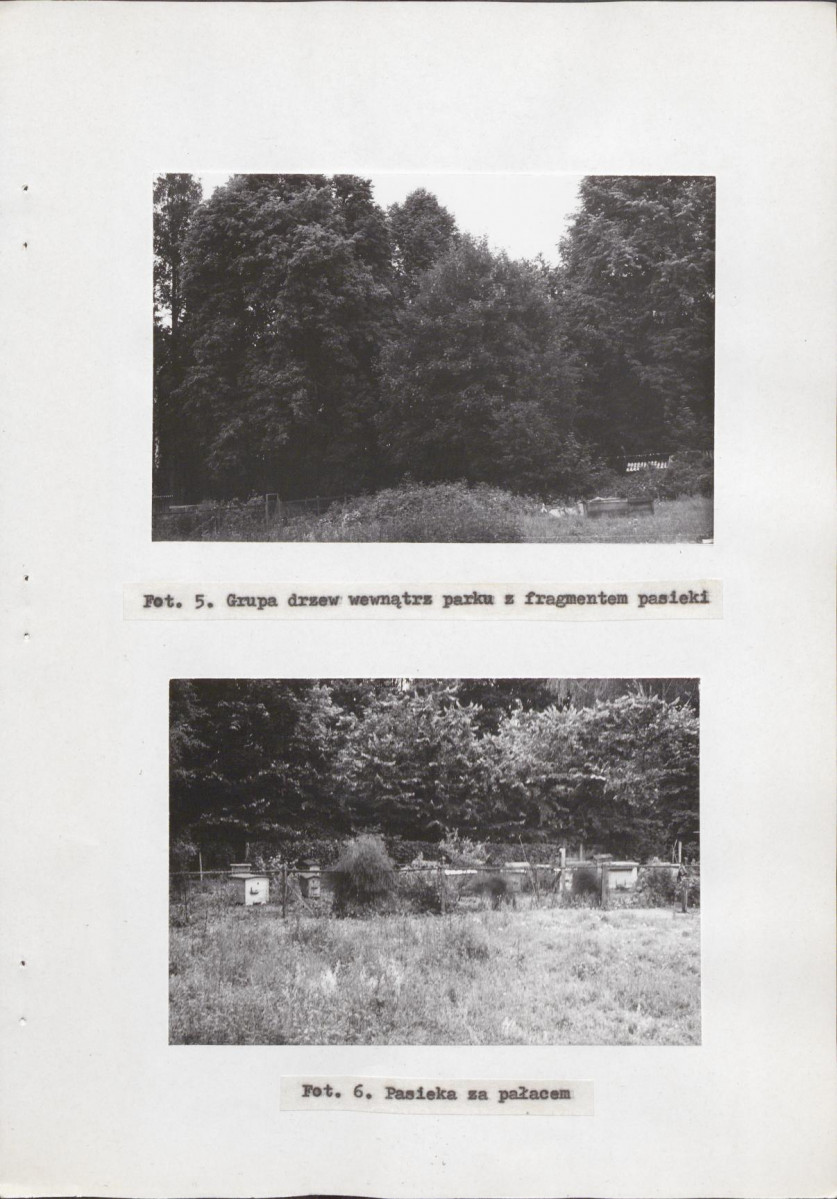 Ewidencja parkowa, skan nr 29