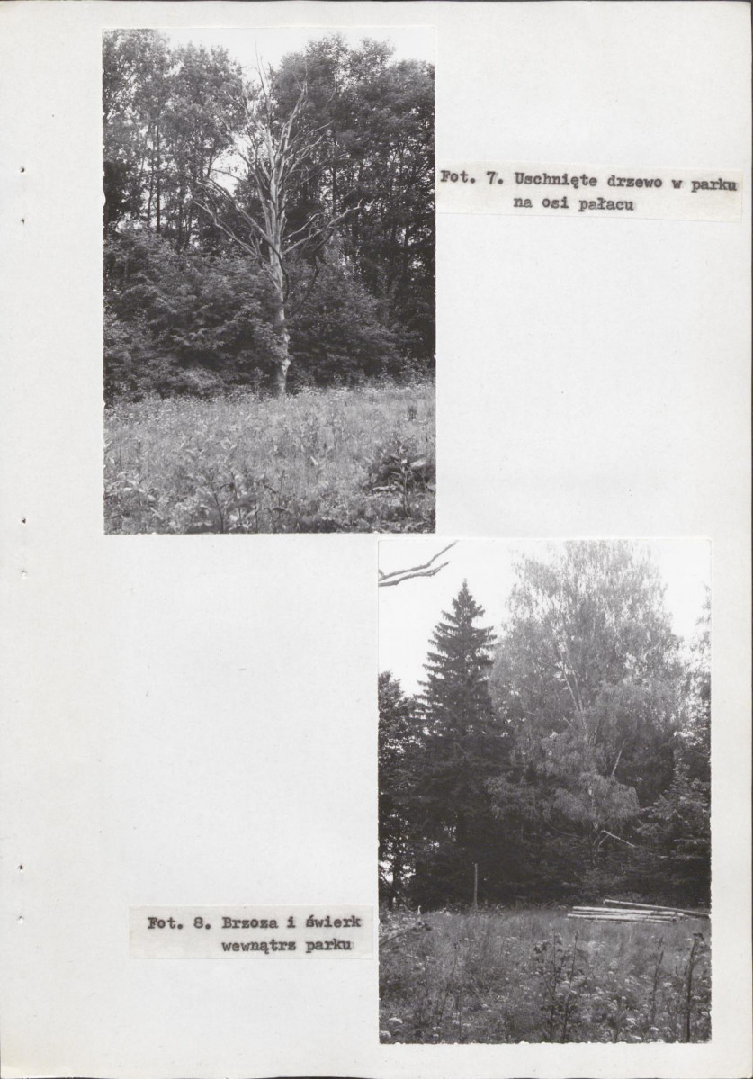 Ewidencja parkowa, skan nr 30