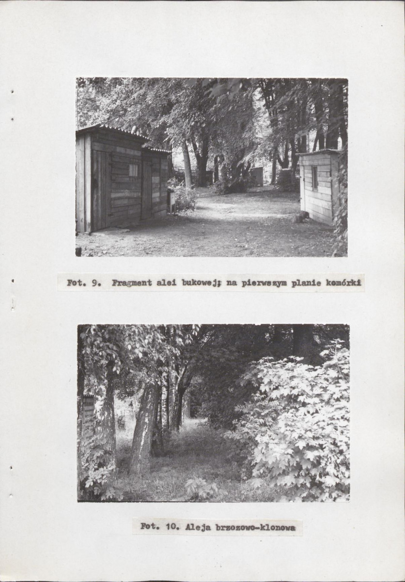 Ewidencja parkowa, skan nr 31