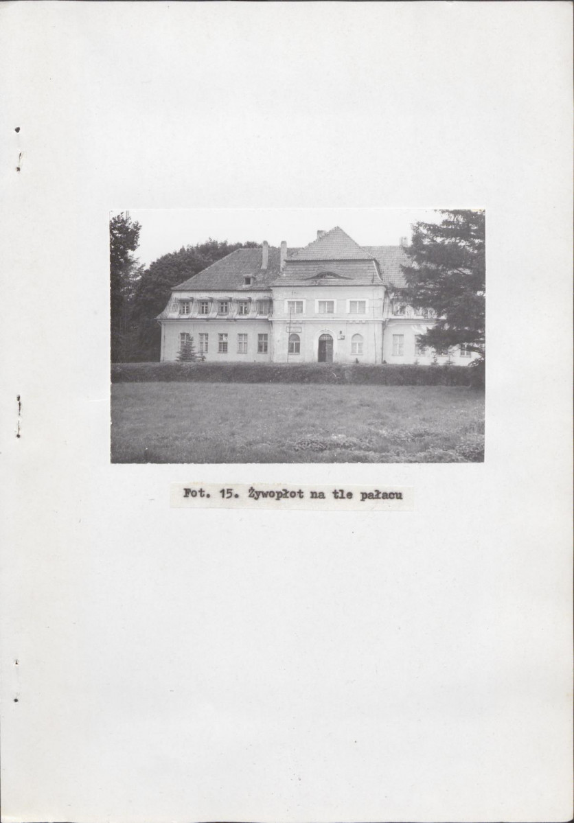 Ewidencja parkowa, skan nr 34