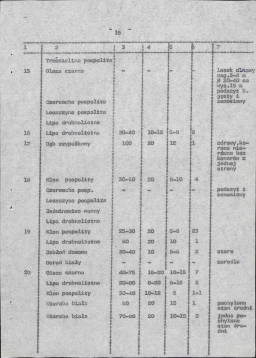 Ewidencja parkowa, skan nr 22