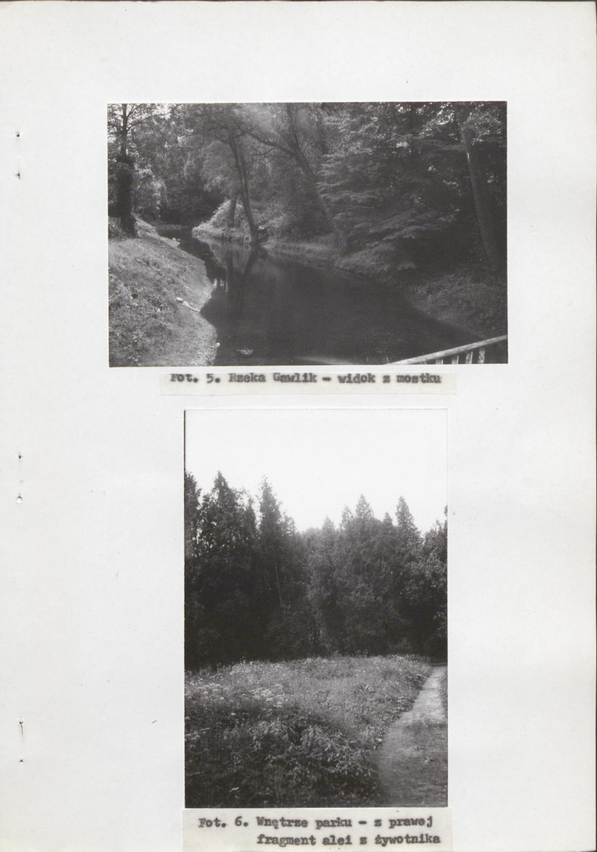 Ewidencja parkowa, skan nr 32