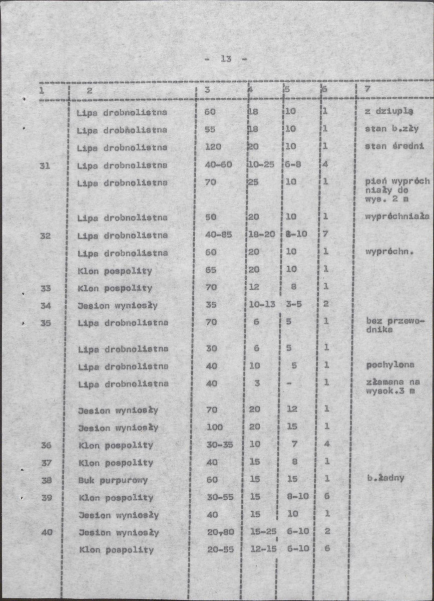 Ewidencja parkowa, skan nr 21