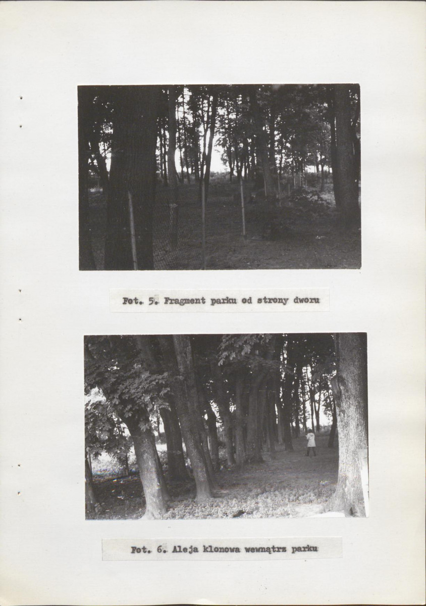Ewidencja parkowa, skan nr 32