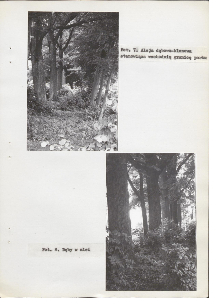 Ewidencja parkowa, skan nr 33