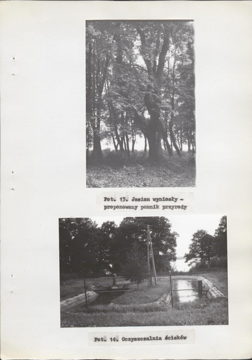 Ewidencja parkowa, skan nr 36