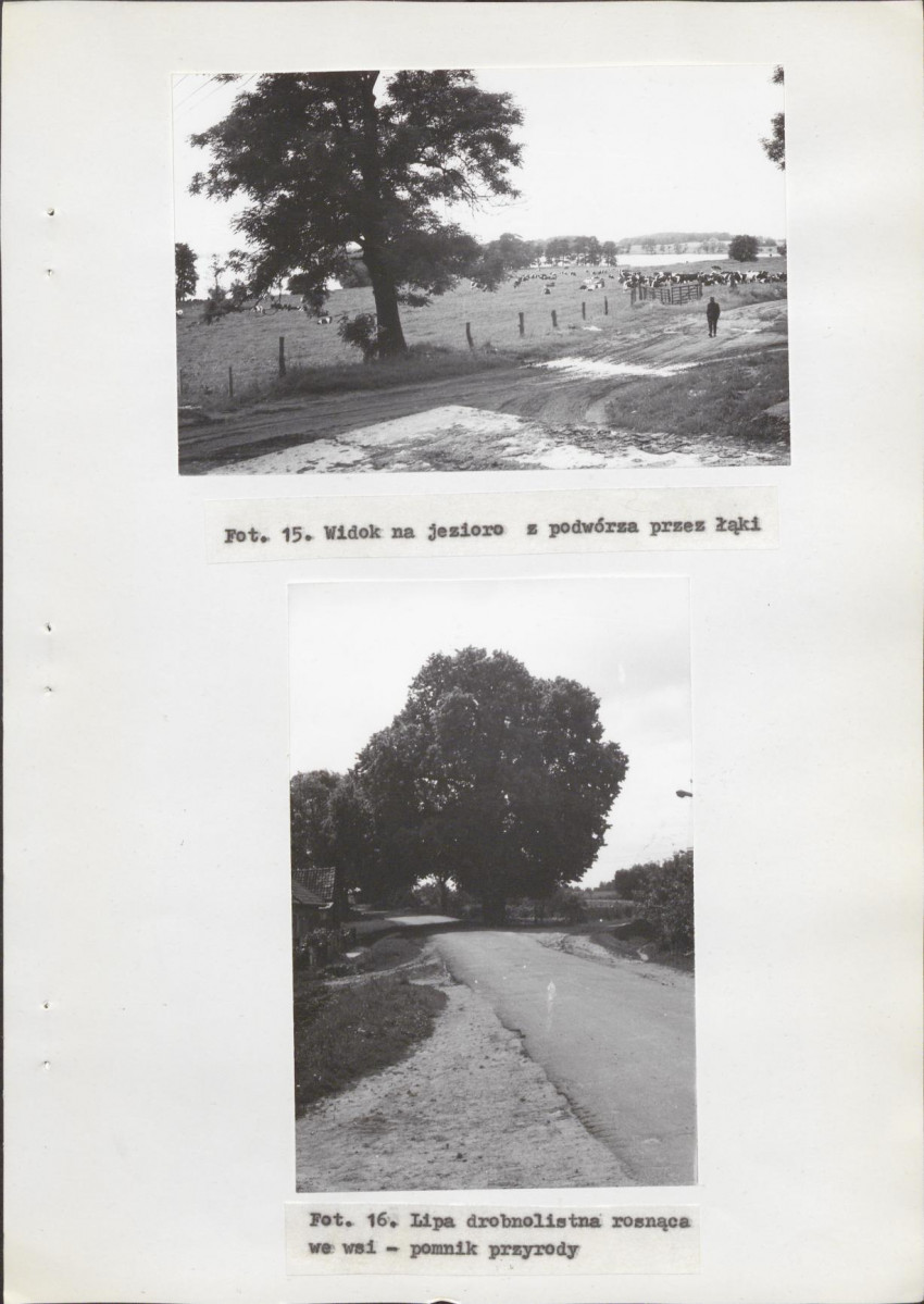 Ewidencja parkowa, skan nr 37
