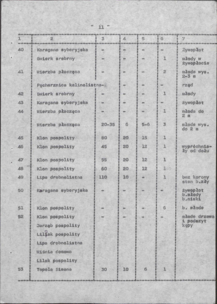 Ewidencja parkowa, skan nr 19