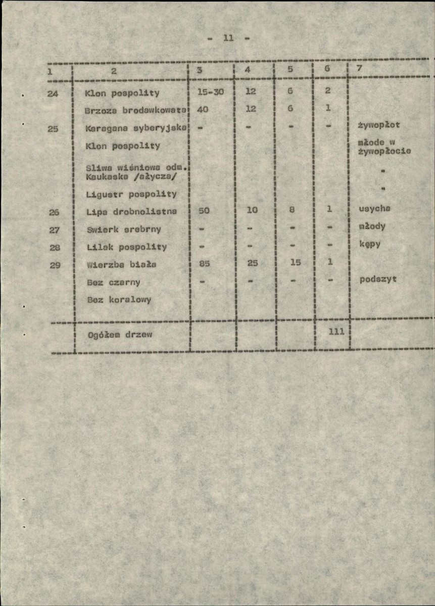 Ewidencja parkowa, skan nr 19