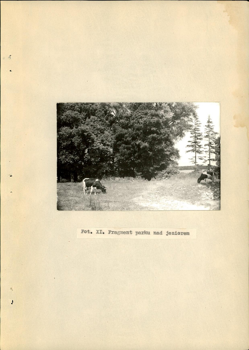 Ewidencja parkowa, skan nr 29