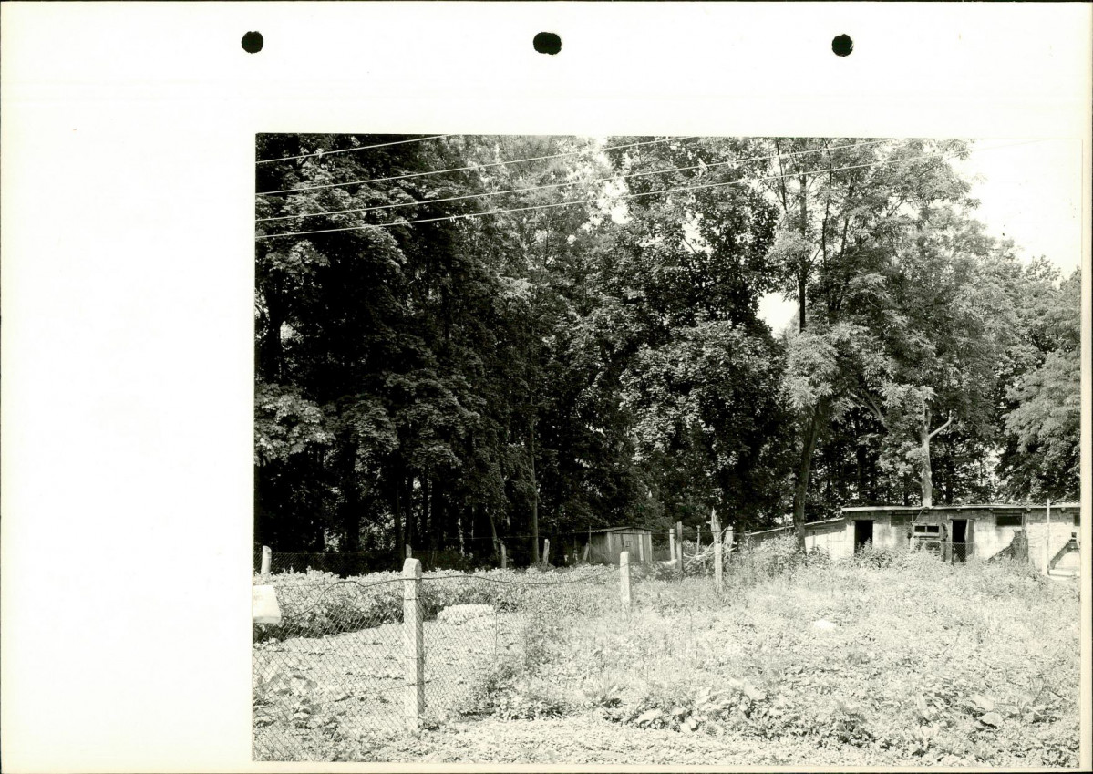 Ewidencja parkowa, skan nr 33