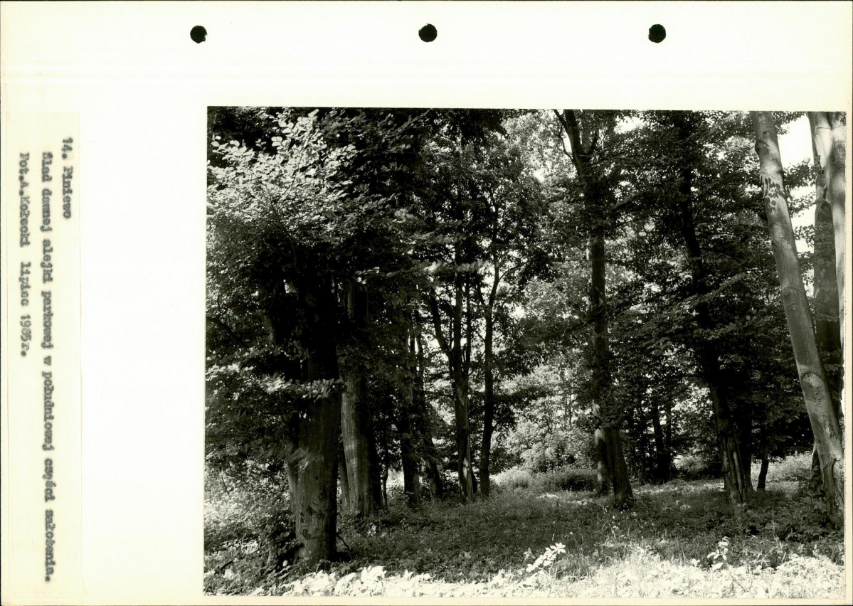 Ewidencja parkowa, skan nr 36