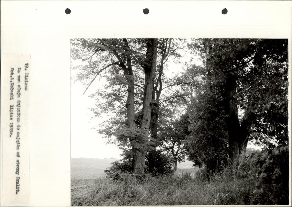 Ewidencja parkowa, skan nr 41