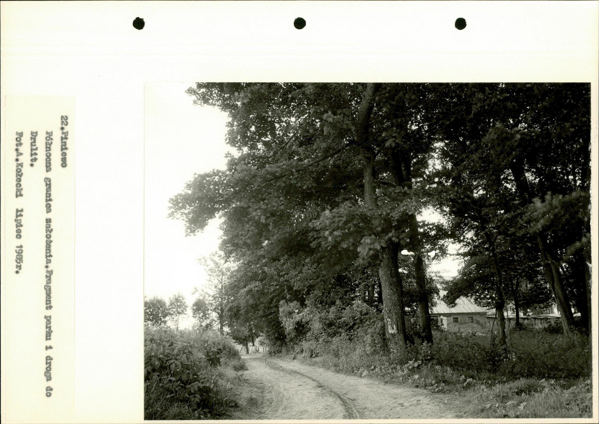 Ewidencja parkowa, skan nr 44