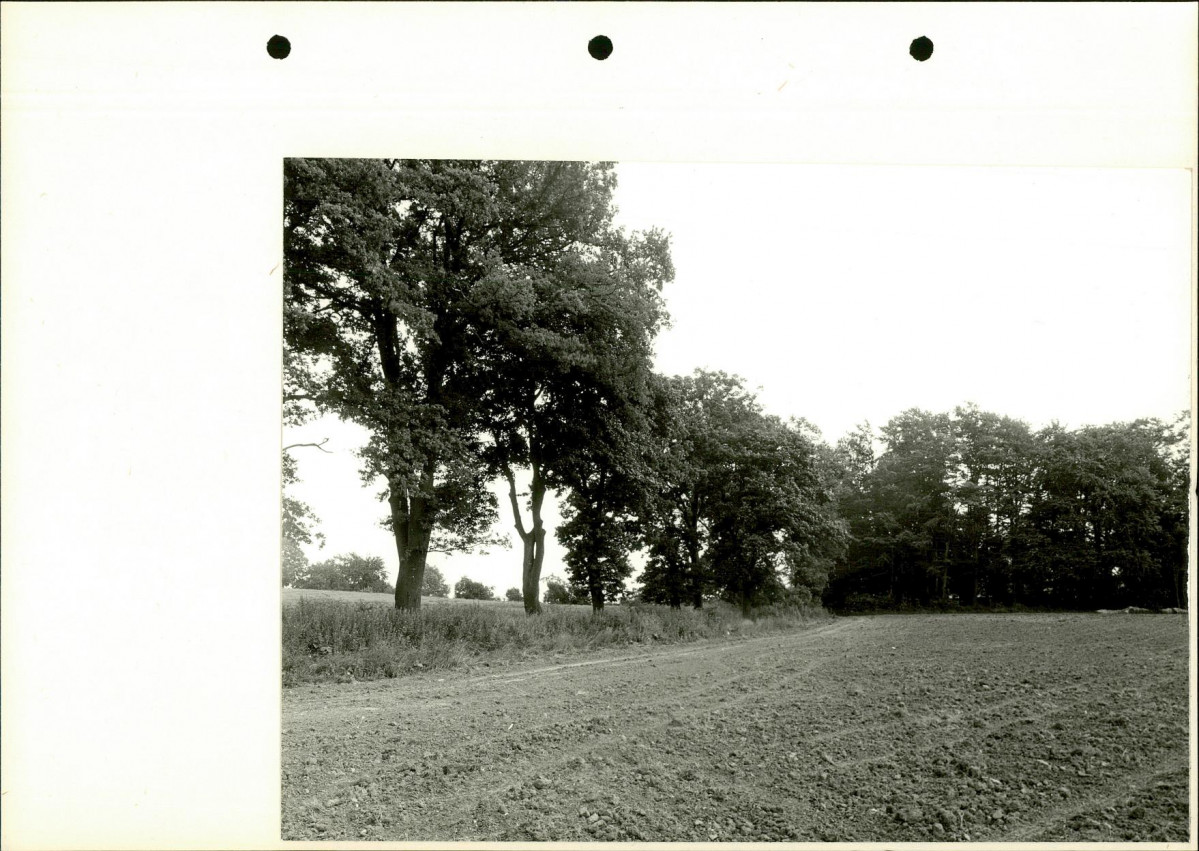 Ewidencja parkowa, skan nr 47