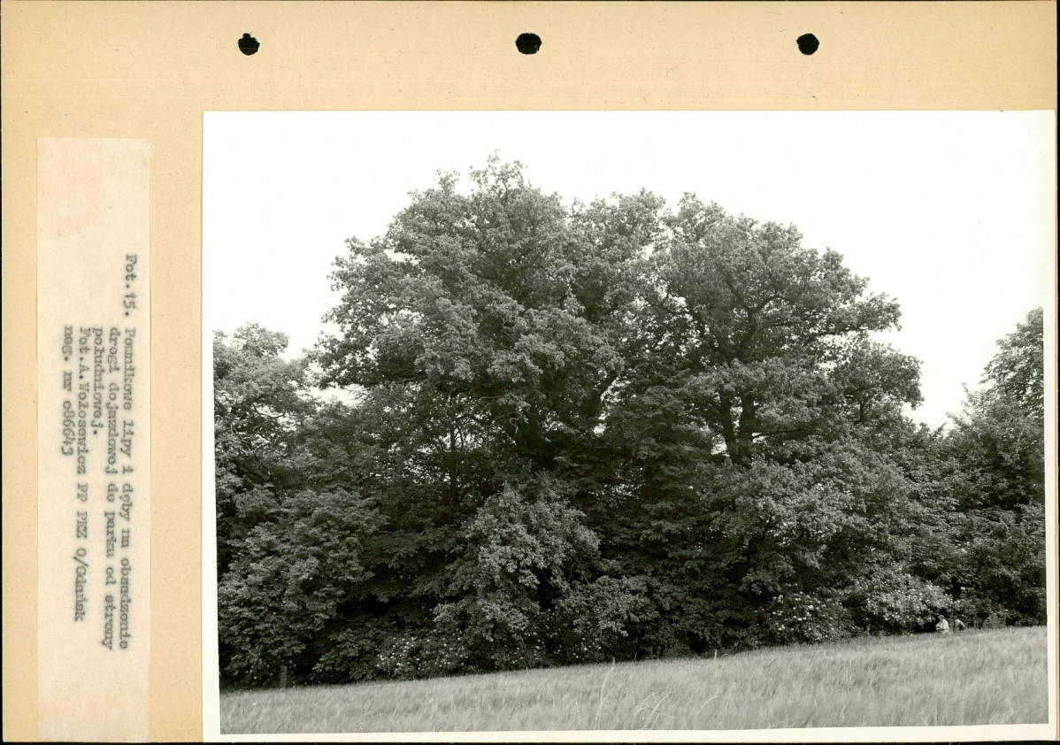 Ewidencja parkowa, skan nr 30