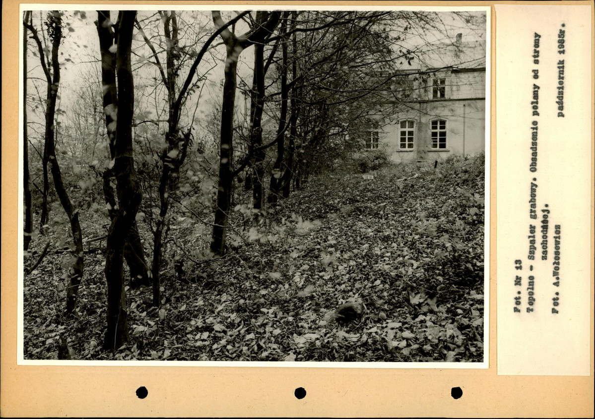 Ewidencja parkowa, skan nr 37