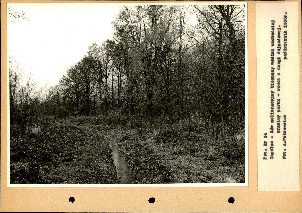Ewidencja parkowa, skan nr 38