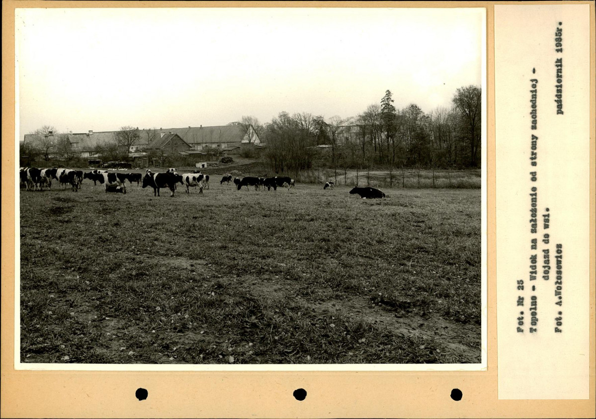 Ewidencja parkowa, skan nr 49