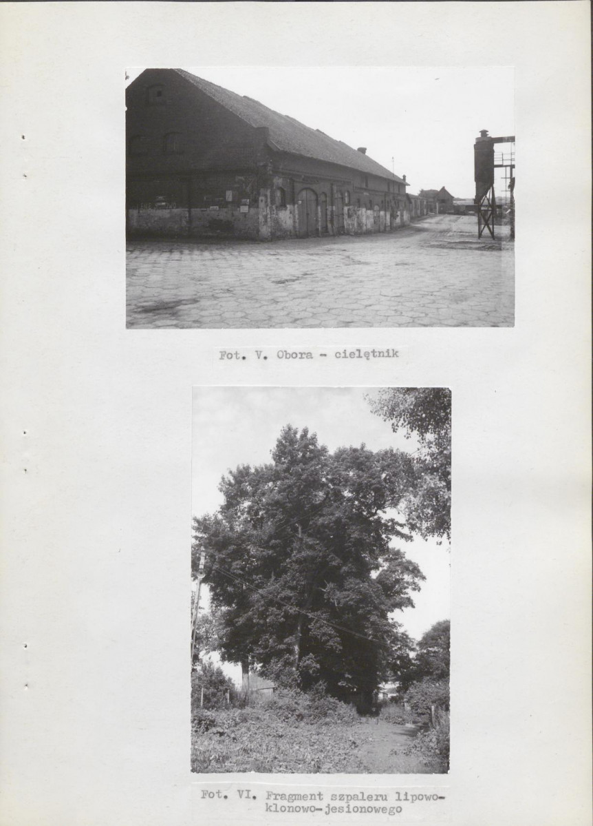 Ewidencja parkowa, skan nr 24