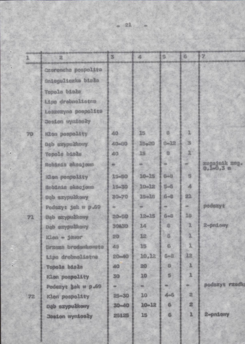 Ewidencja parkowa, skan nr 28