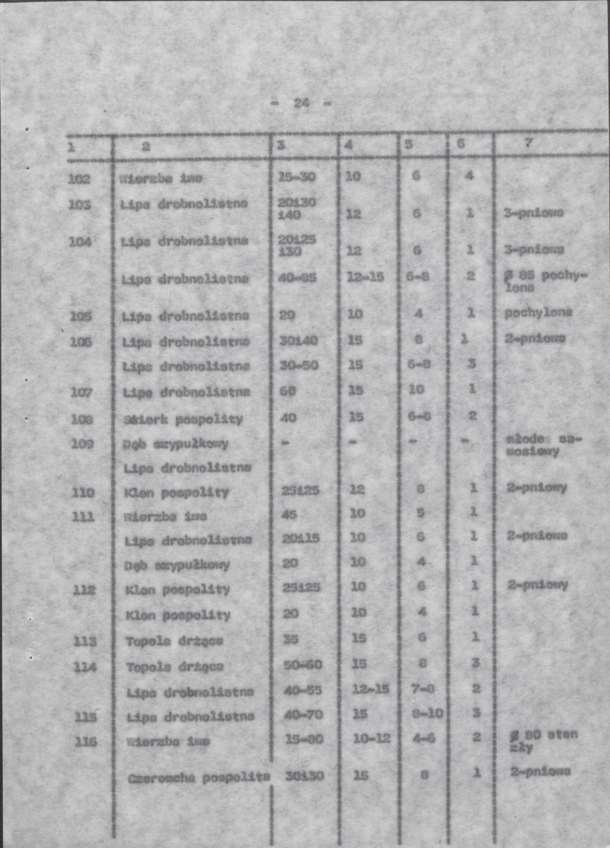 Ewidencja parkowa, skan nr 31