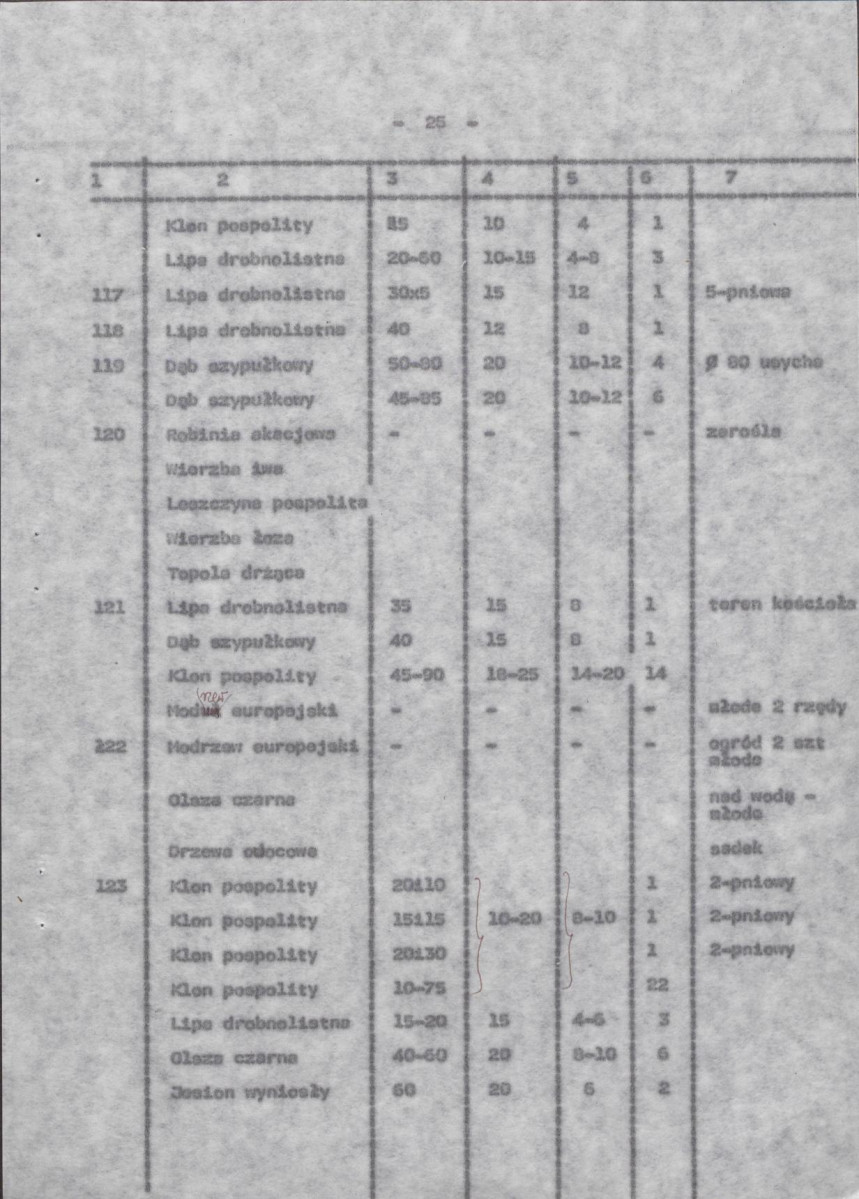 Ewidencja parkowa, skan nr 32