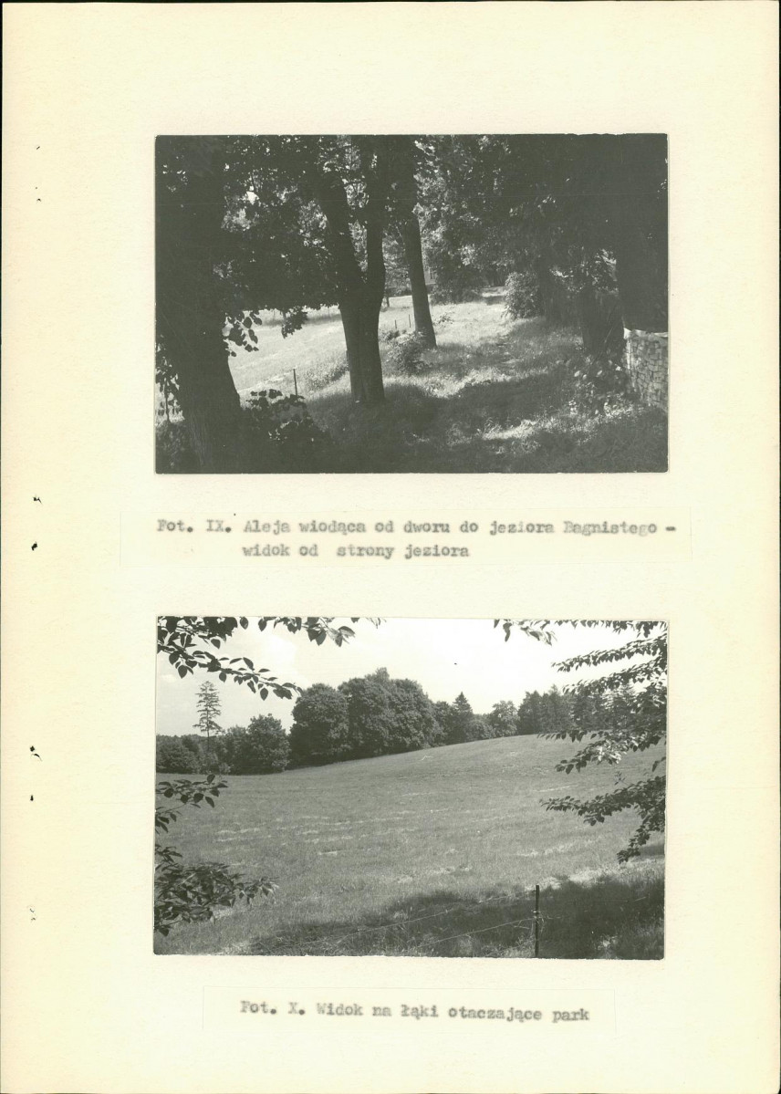 Ewidencja parkowa, skan nr 32