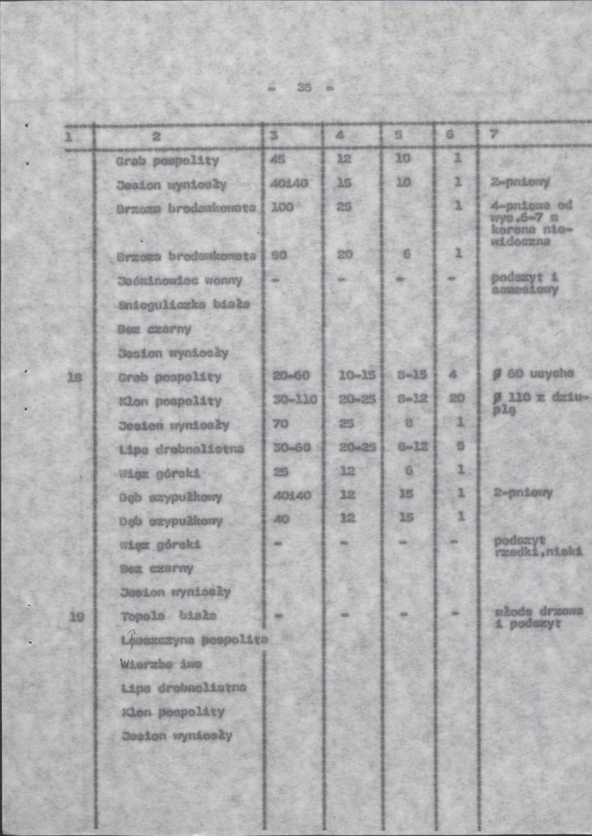 Ewidencja parkowa, skan nr 42