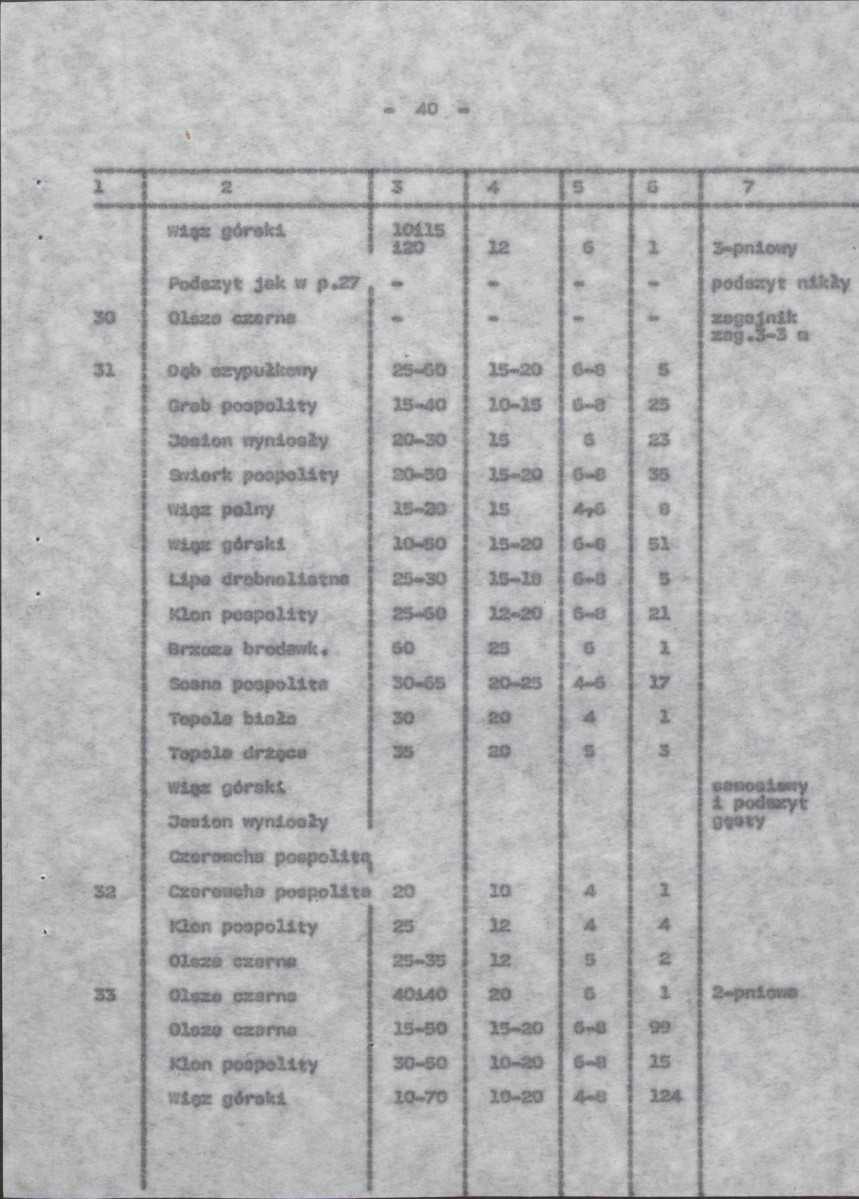Ewidencja parkowa, skan nr 47