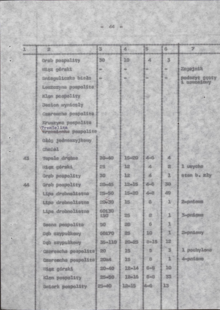 Ewidencja parkowa, skan nr 51