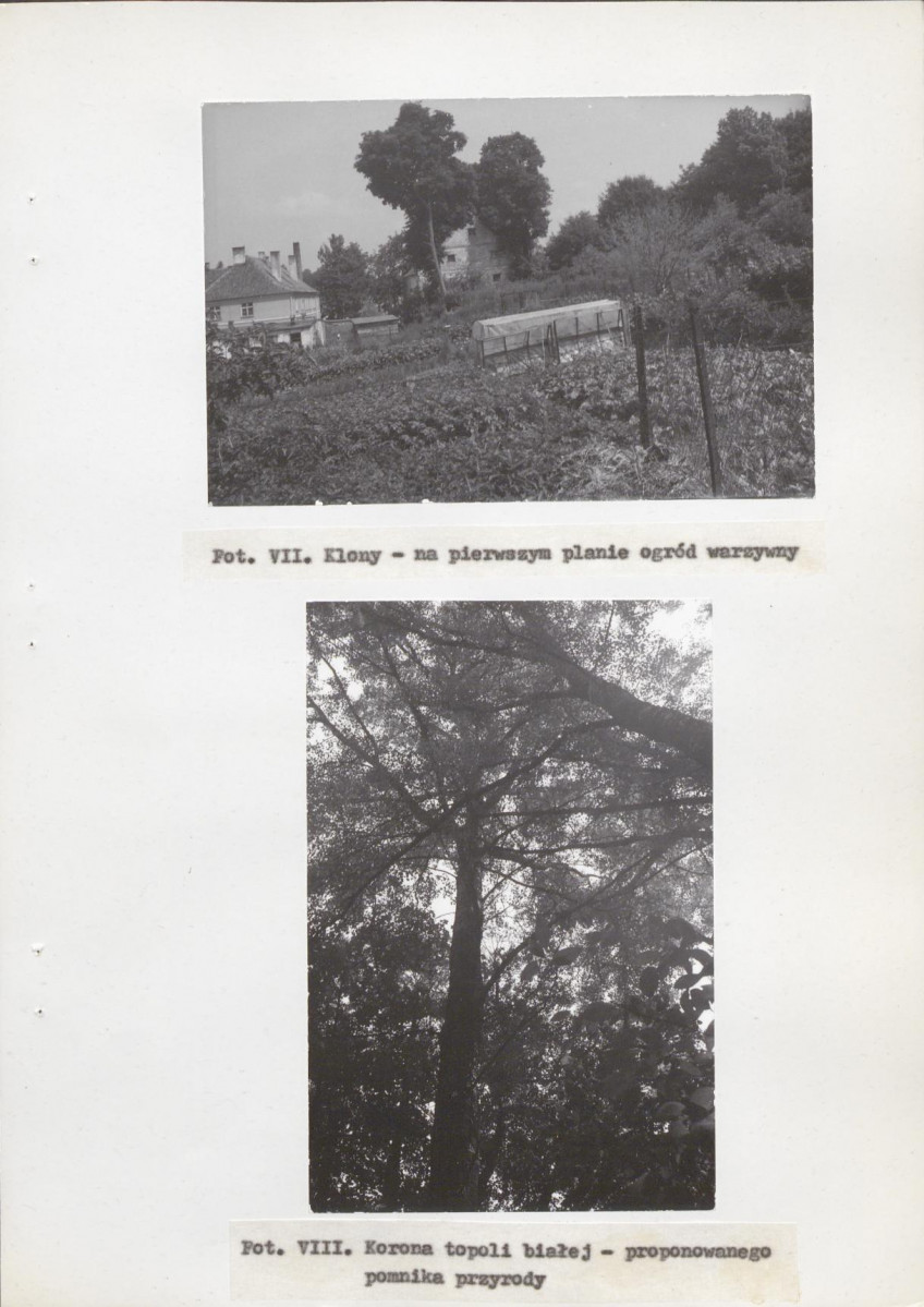 Ewidencja parkowa, skan nr 65