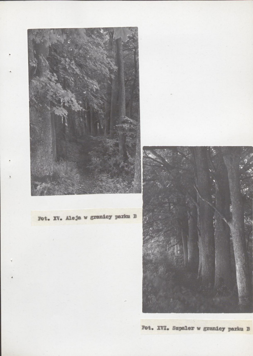 Ewidencja parkowa, skan nr 69