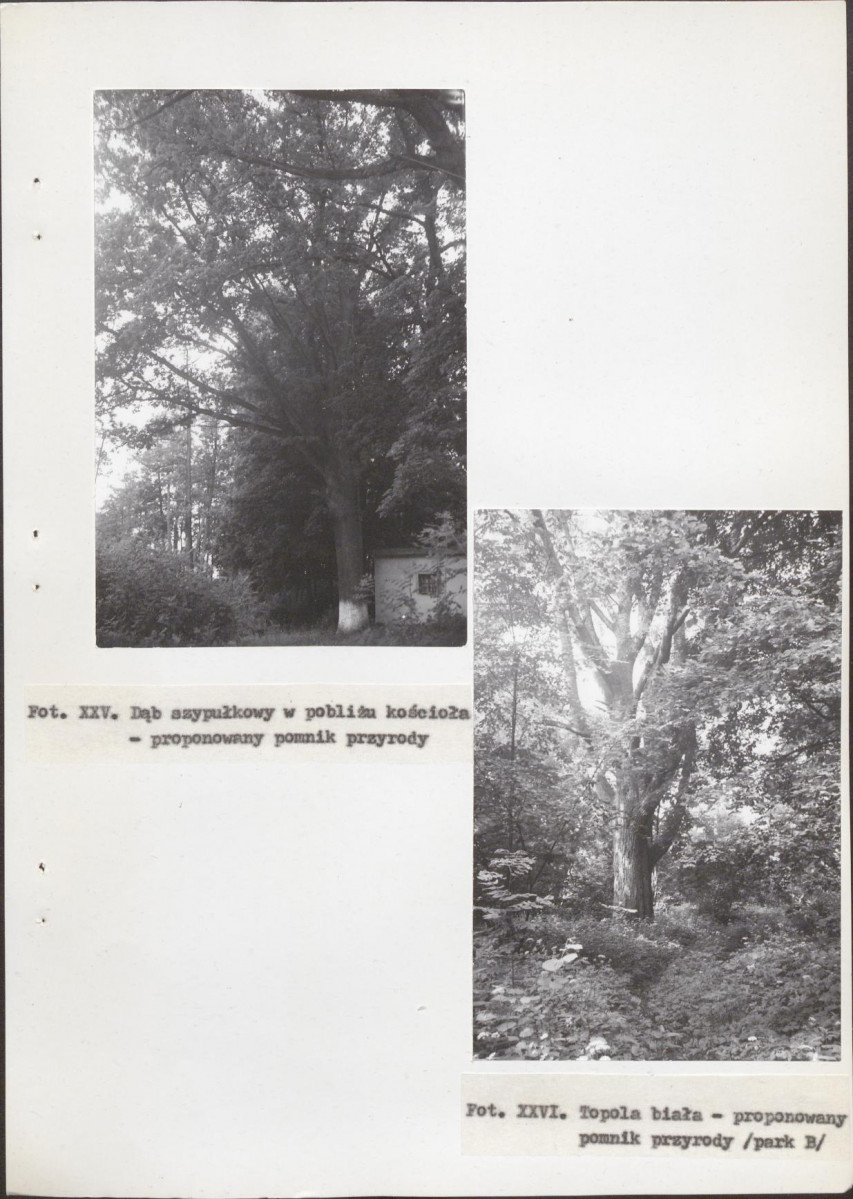 Ewidencja parkowa, skan nr 74