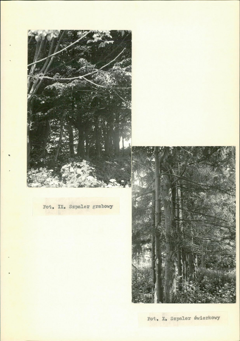 Ewidencja parkowa, skan nr 28