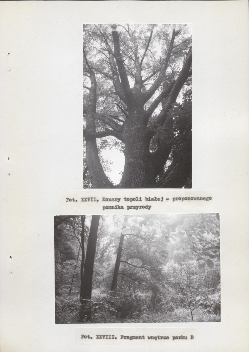 Ewidencja parkowa, skan nr 75