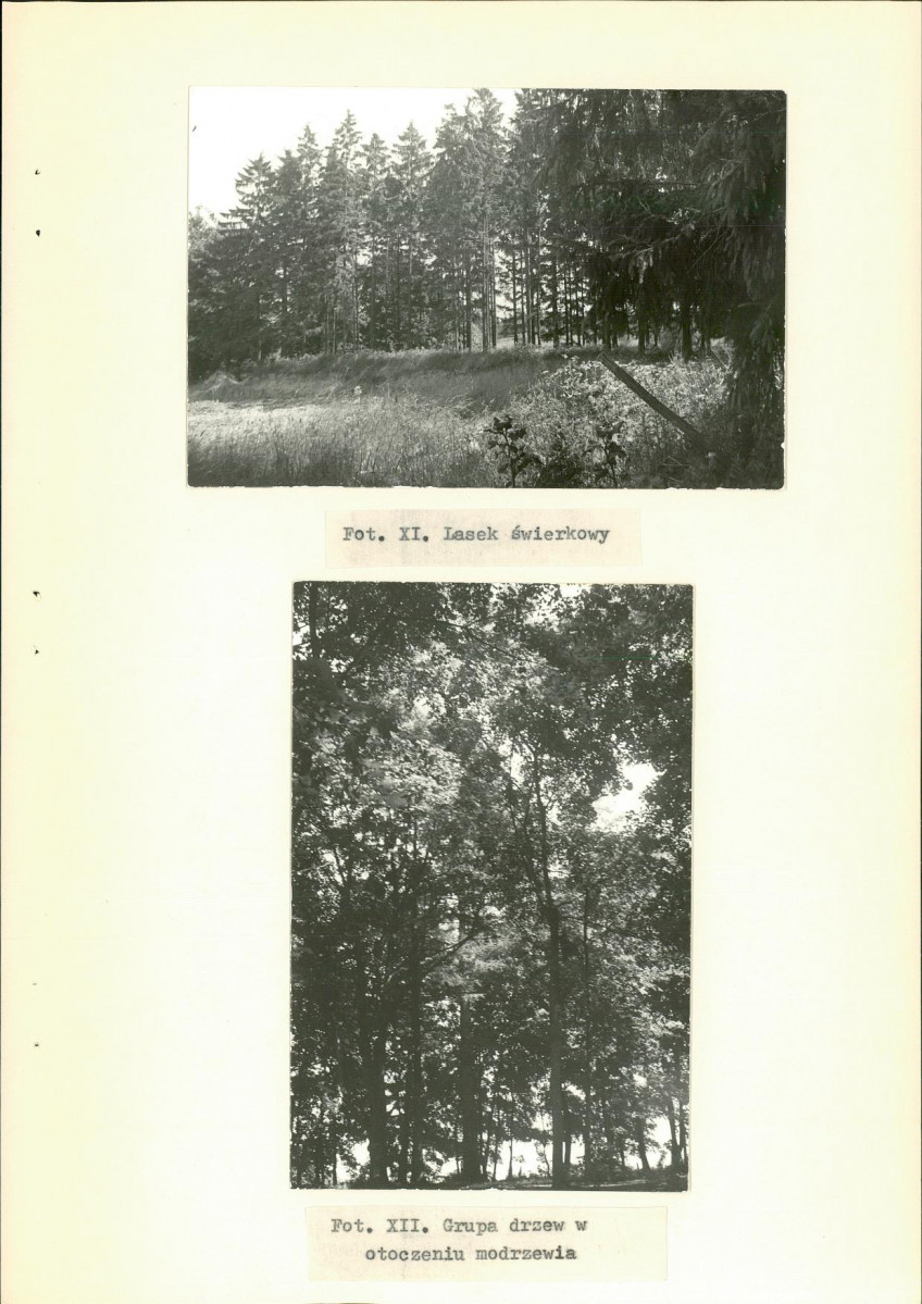 Ewidencja parkowa, skan nr 29