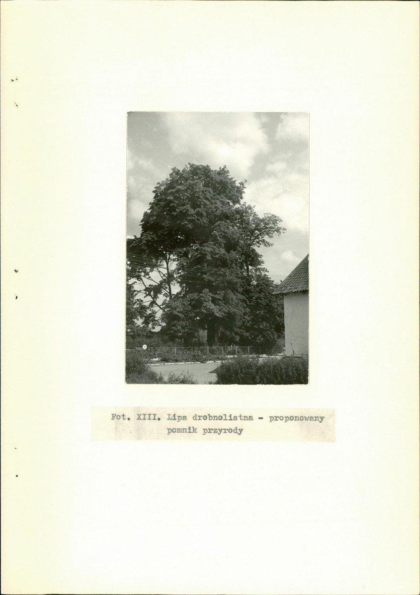 Ewidencja parkowa, skan nr 30