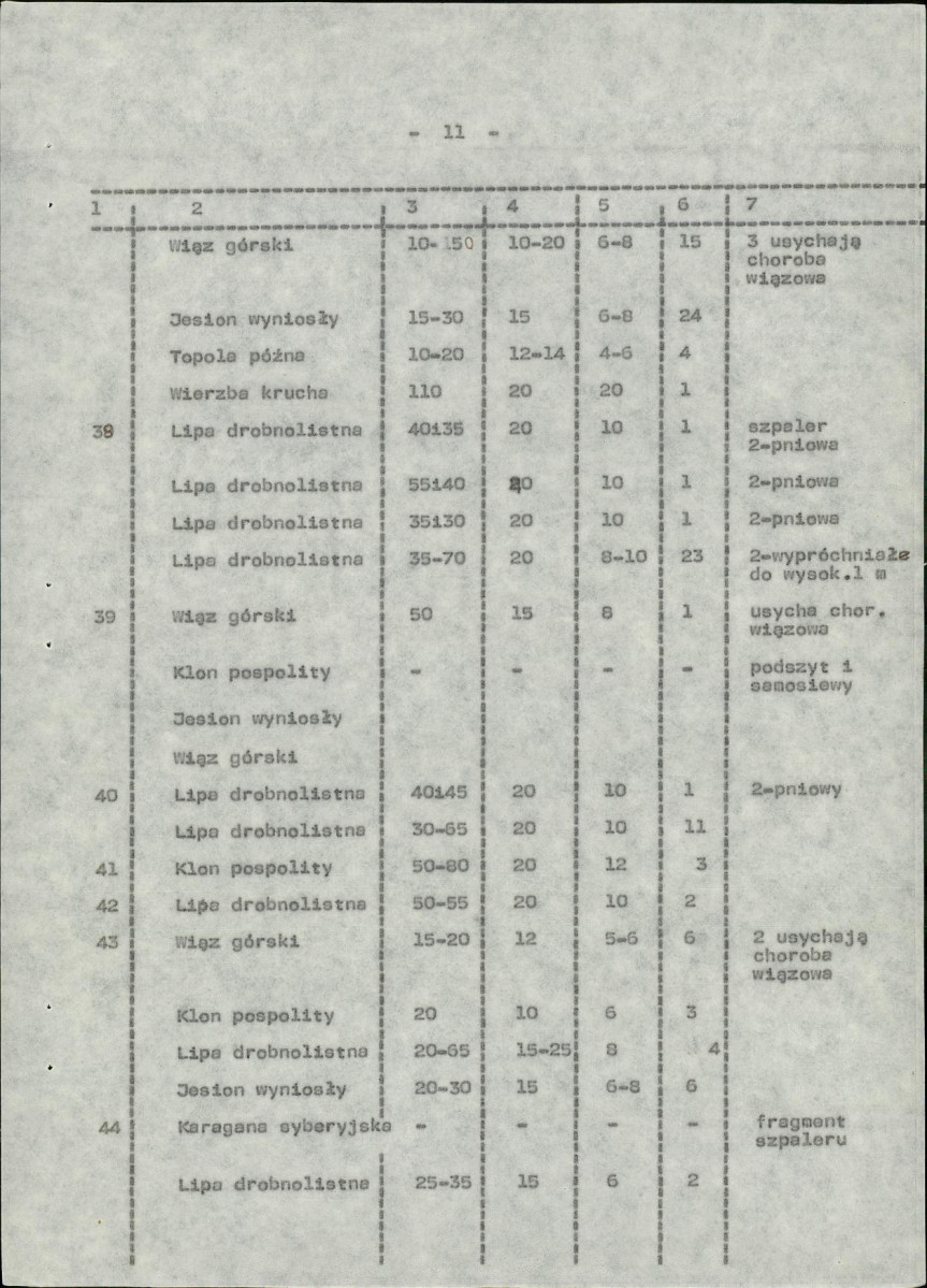 Ewidencja parkowa, skan nr 19