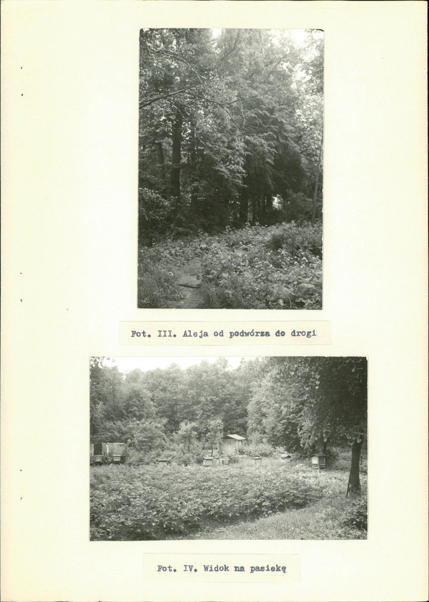 Ewidencja parkowa, skan nr 27