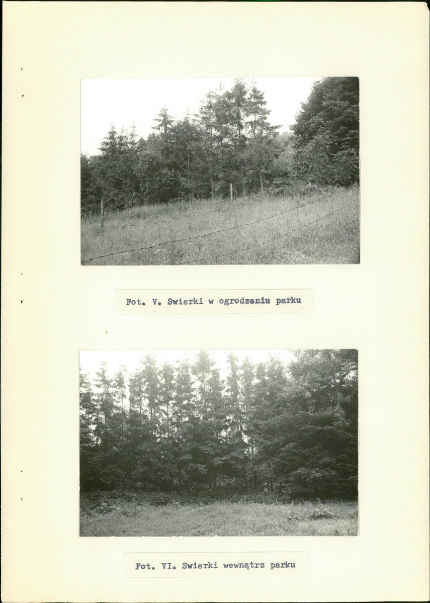 Ewidencja parkowa, skan nr 28