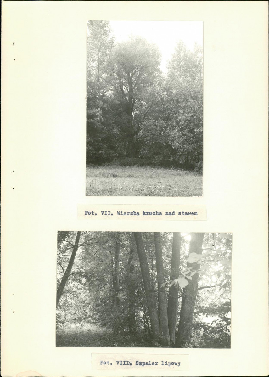 Ewidencja parkowa, skan nr 29