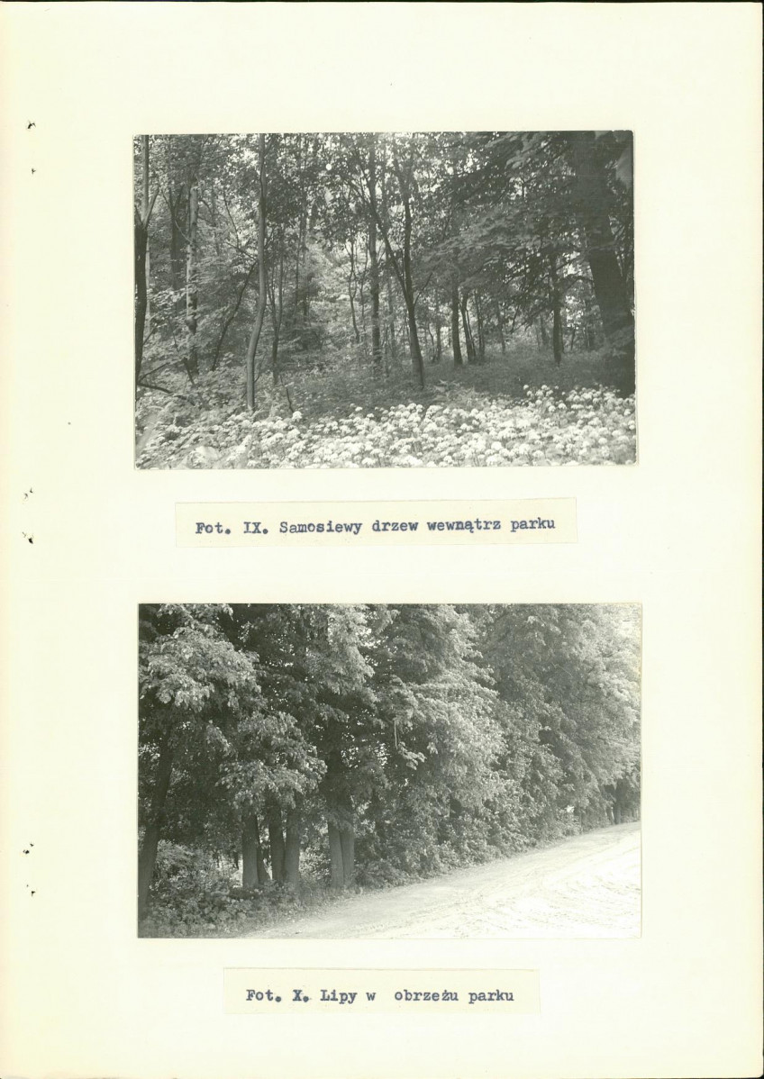 Ewidencja parkowa, skan nr 30