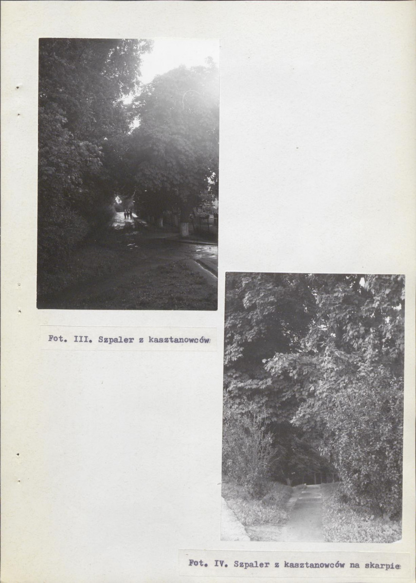 Ewidencja parkowa, skan nr 27