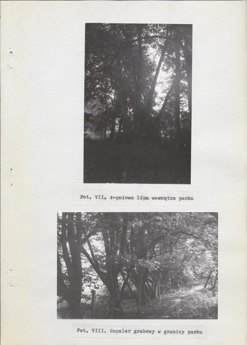 Ewidencja parkowa, skan nr 29