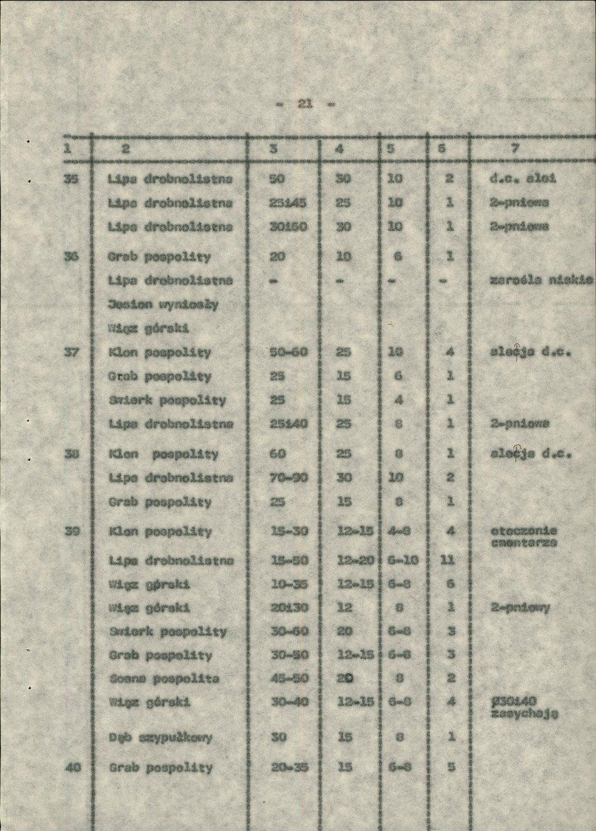 Ewidencja parkowa, skan nr 28